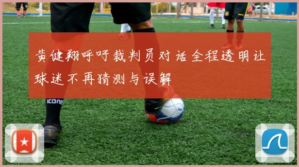 黄健翔呼吁裁判员对话全程透明让球迷不再猜测与误解